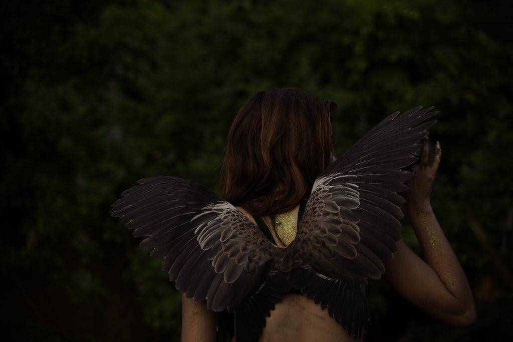 Owl Wings