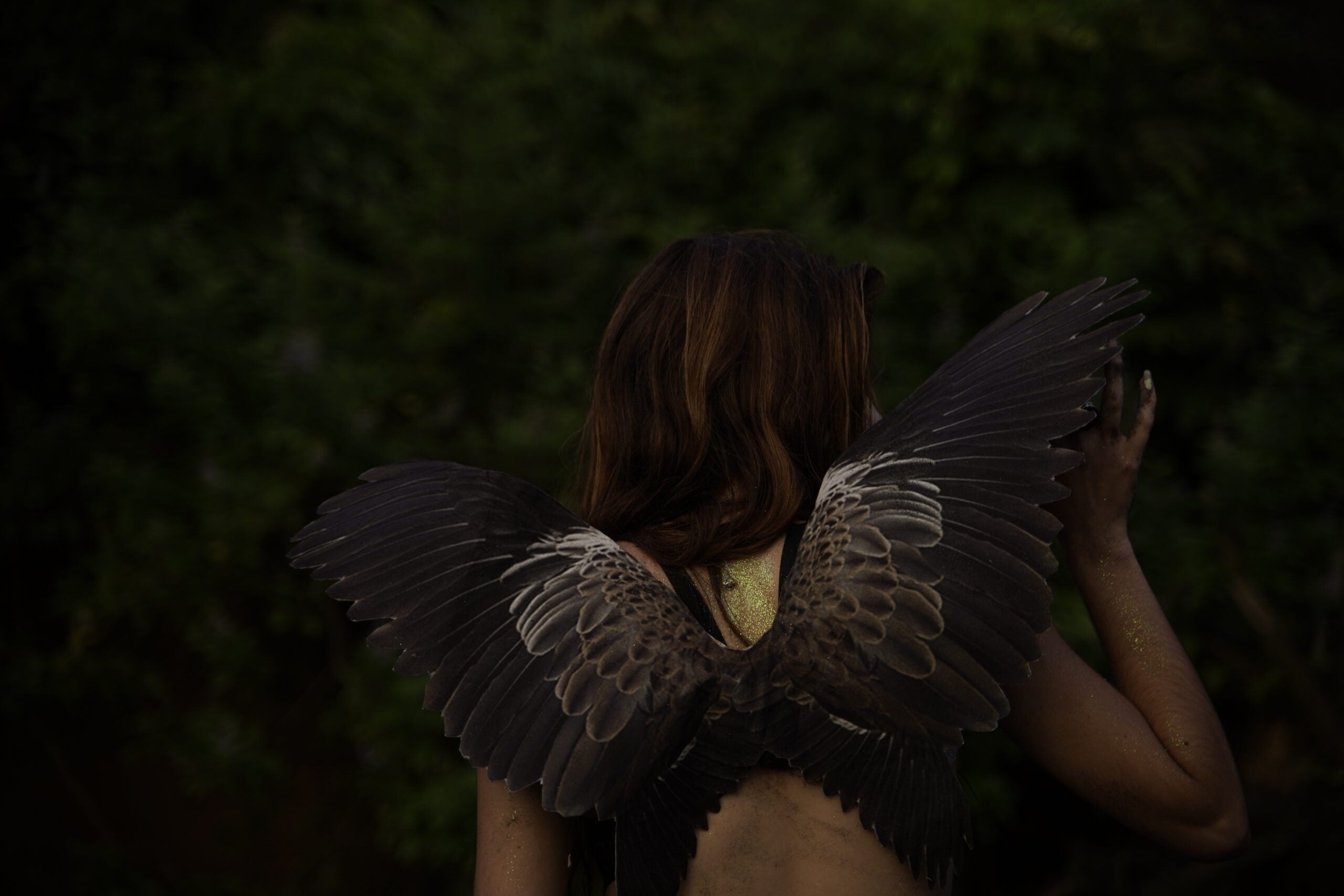 Owl Wings