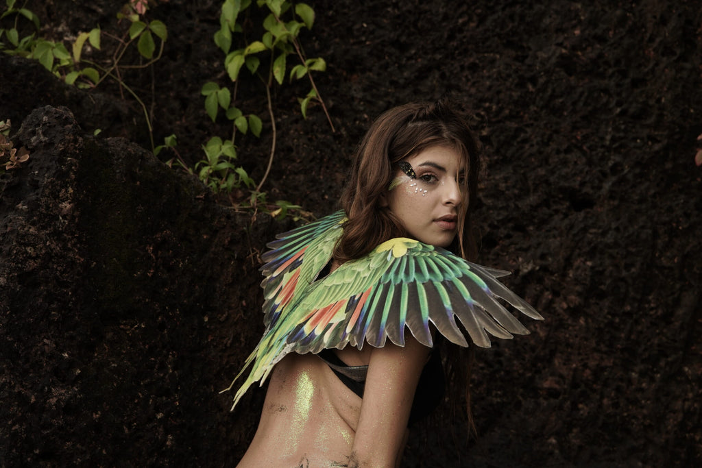 Parrot Wings