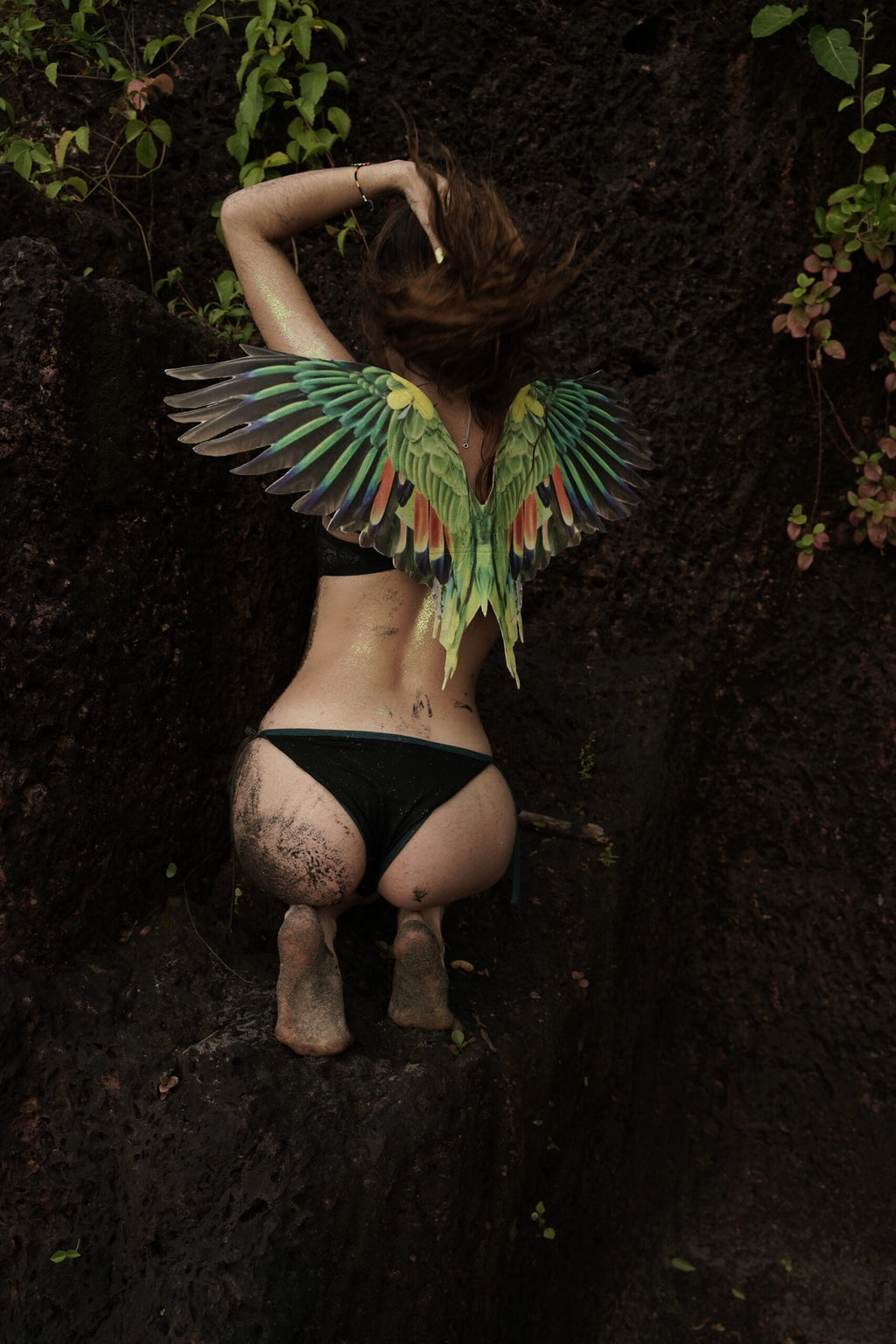 Parrot