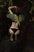 Parrot