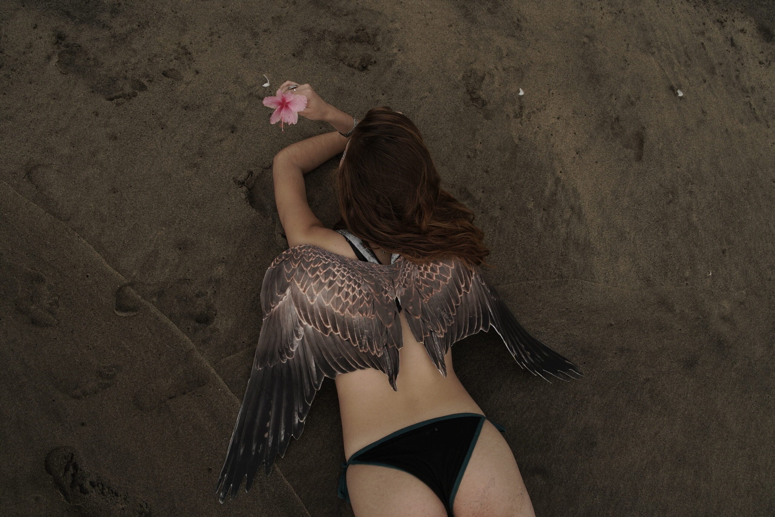 Vulture Wings