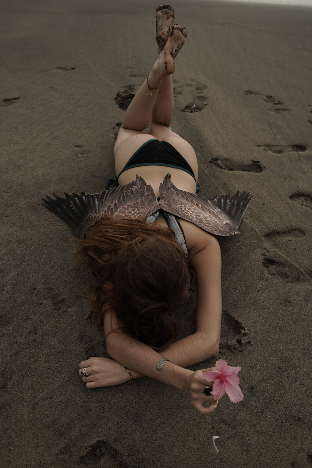 Vulture Wings