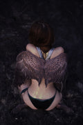 Vulture