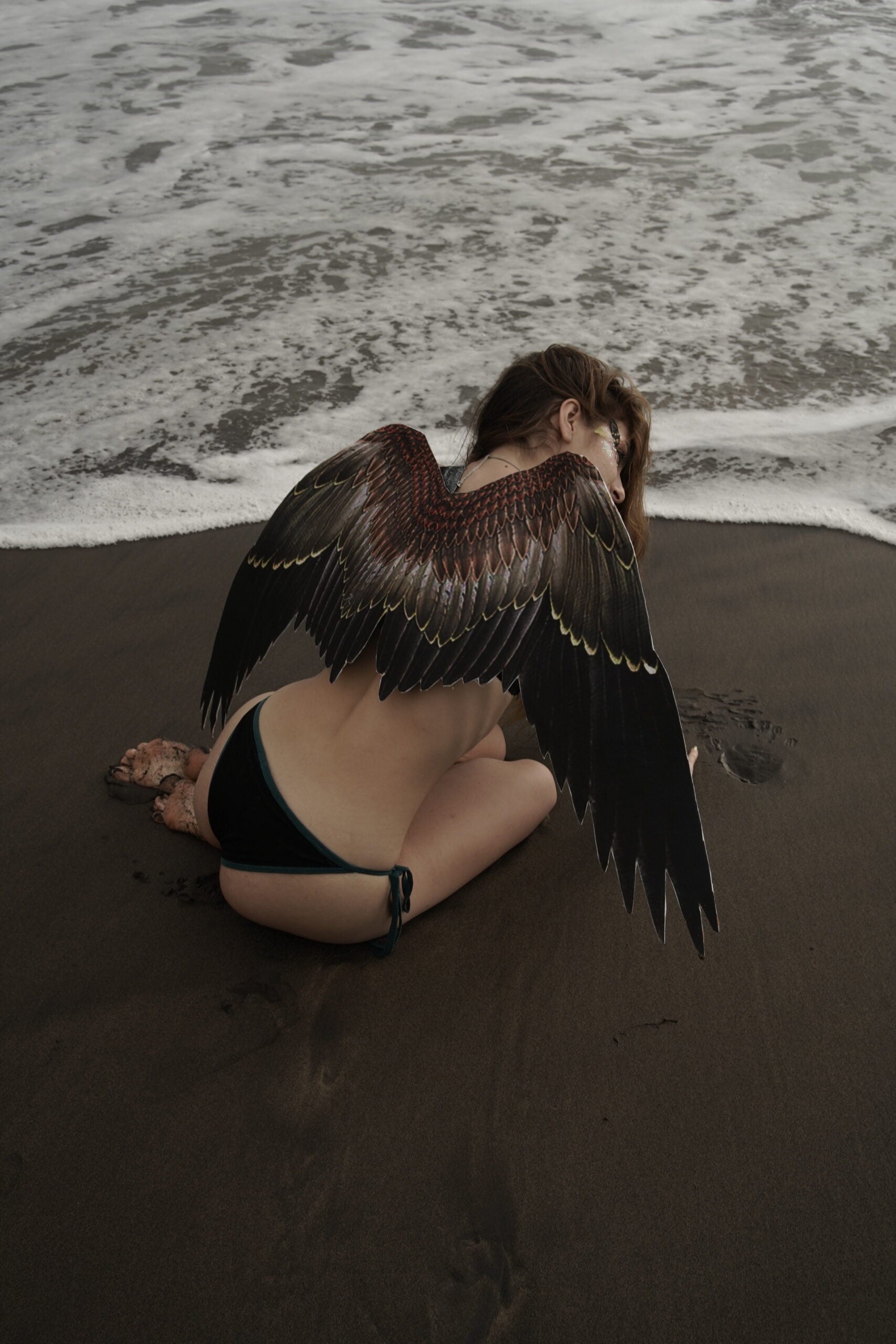 Phoenix Wings