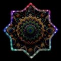 AnjunaBird PRO GlowStar