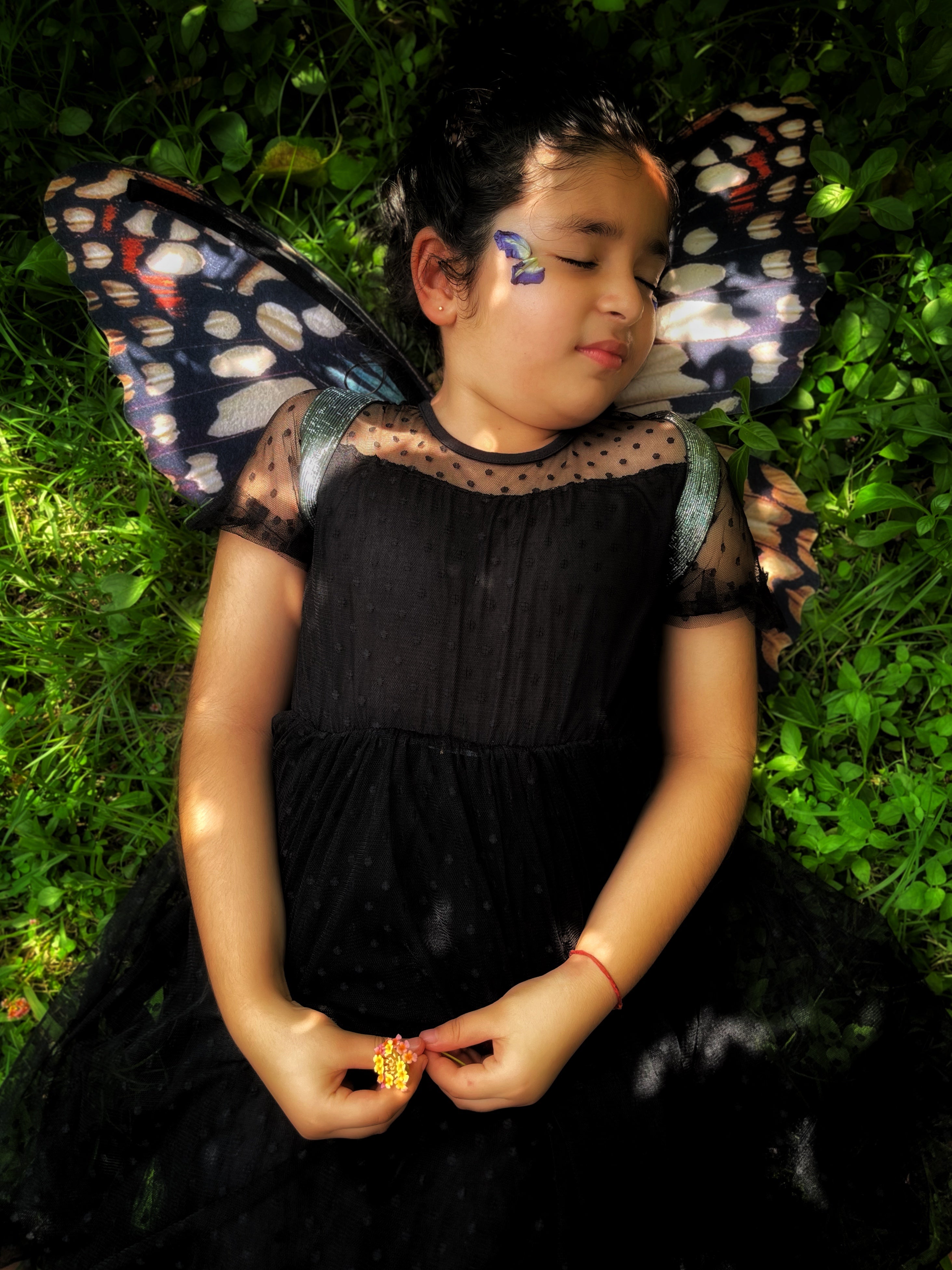 Lime Butterfly Wings
