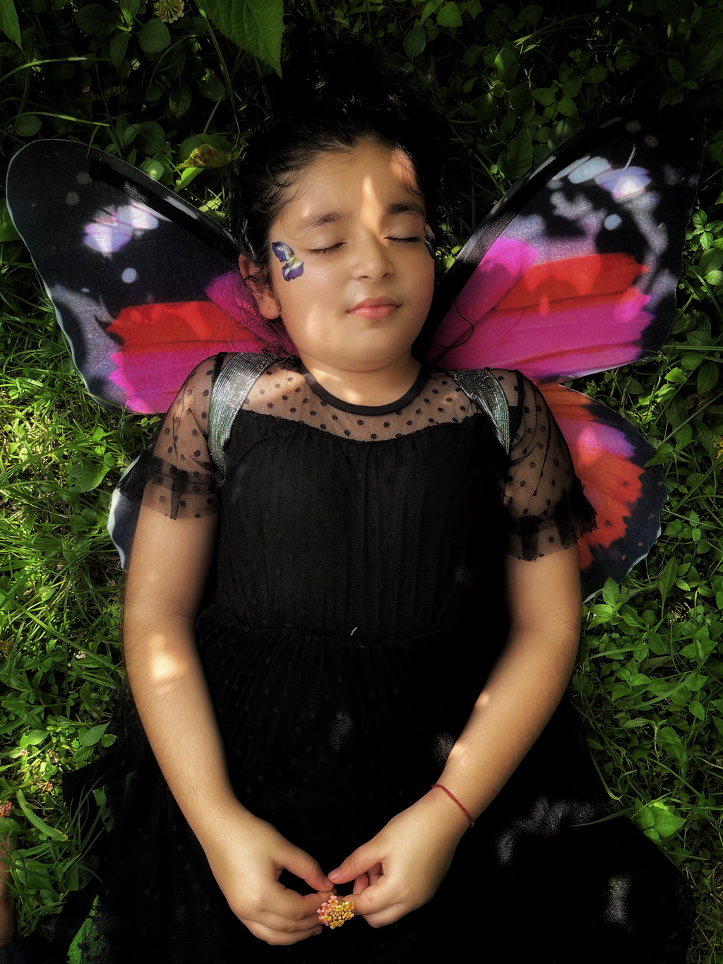 Scarlet Butterfly Wings