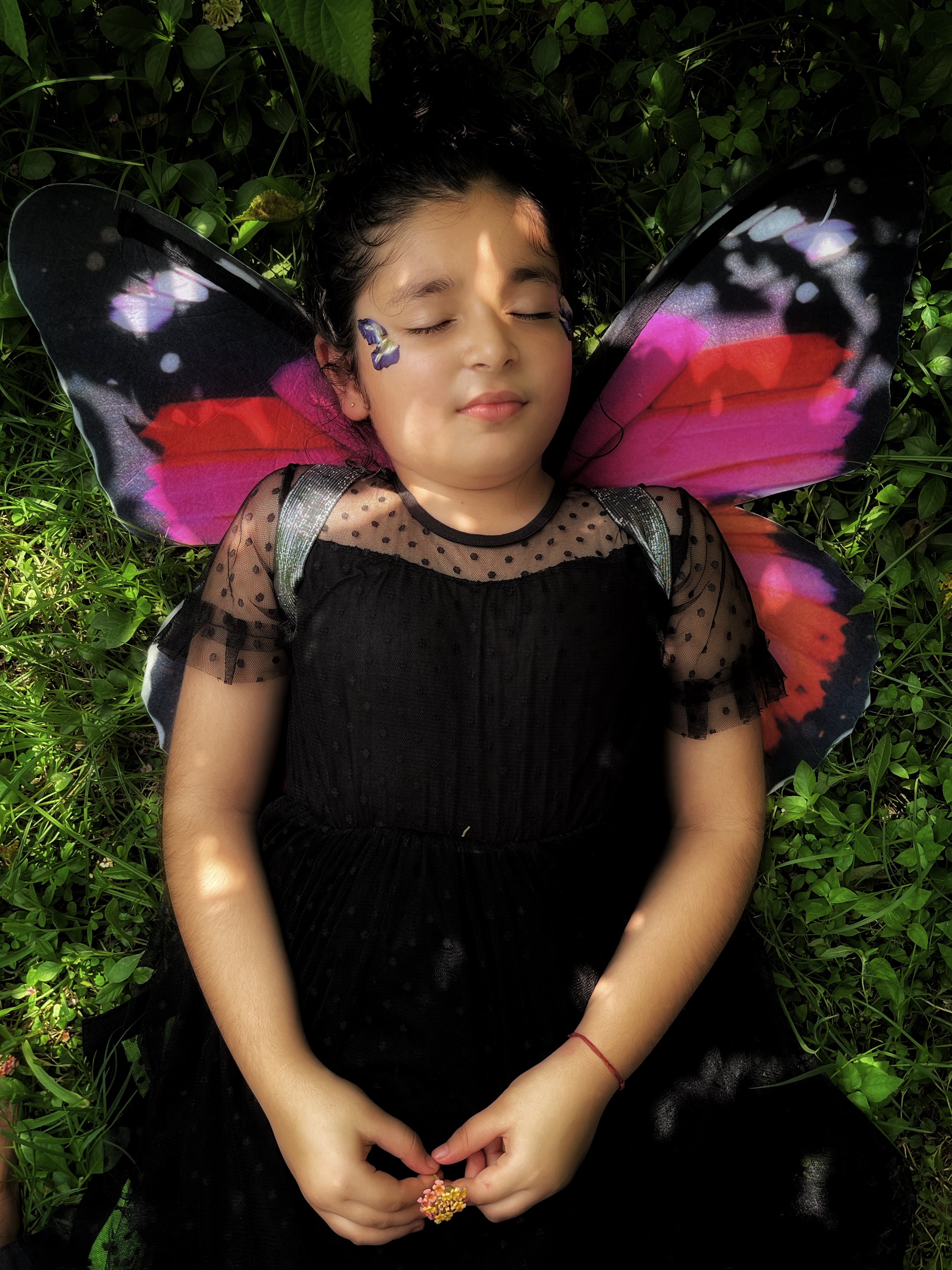 Scarlet Butterfly Wings