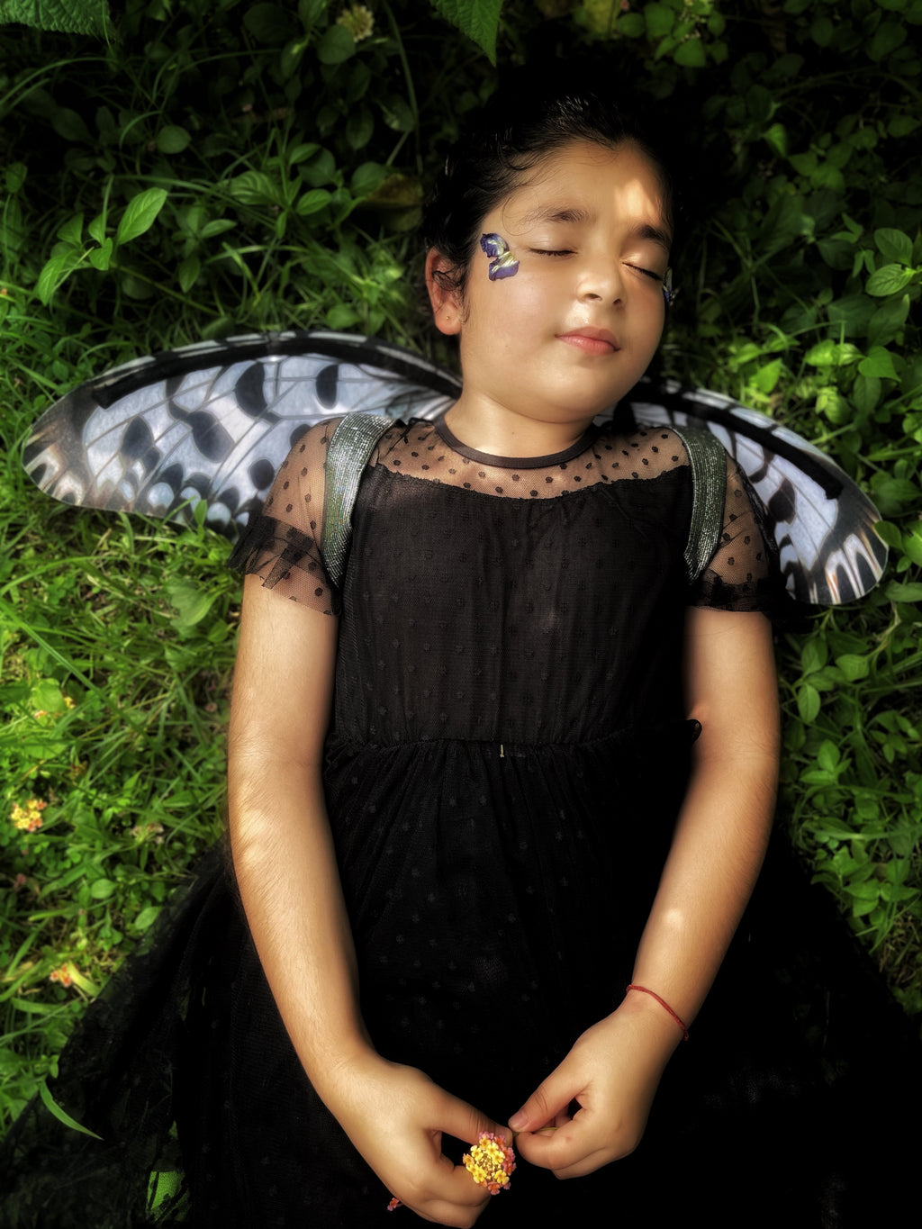Paper Kite Butterfly Wings