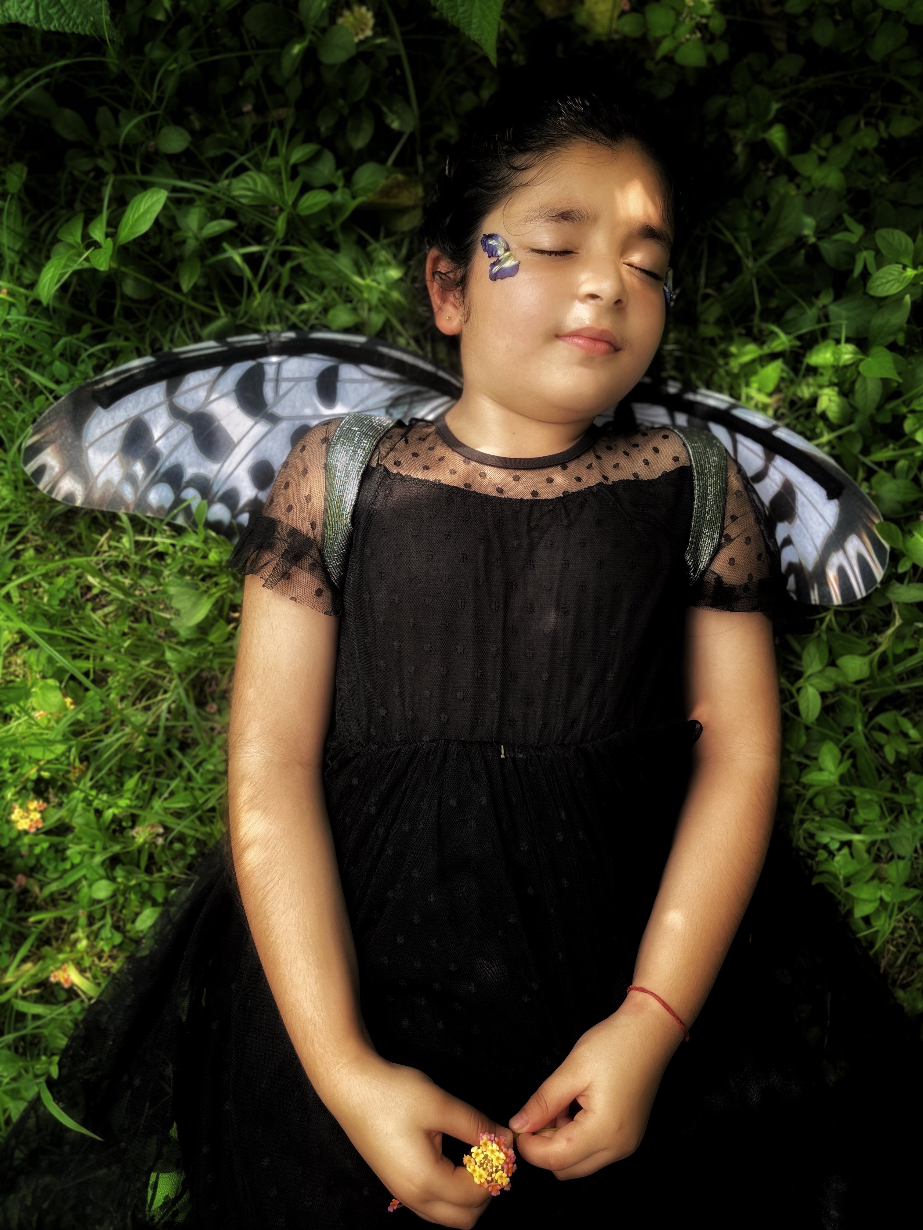 Paper Kite Butterfly Wings