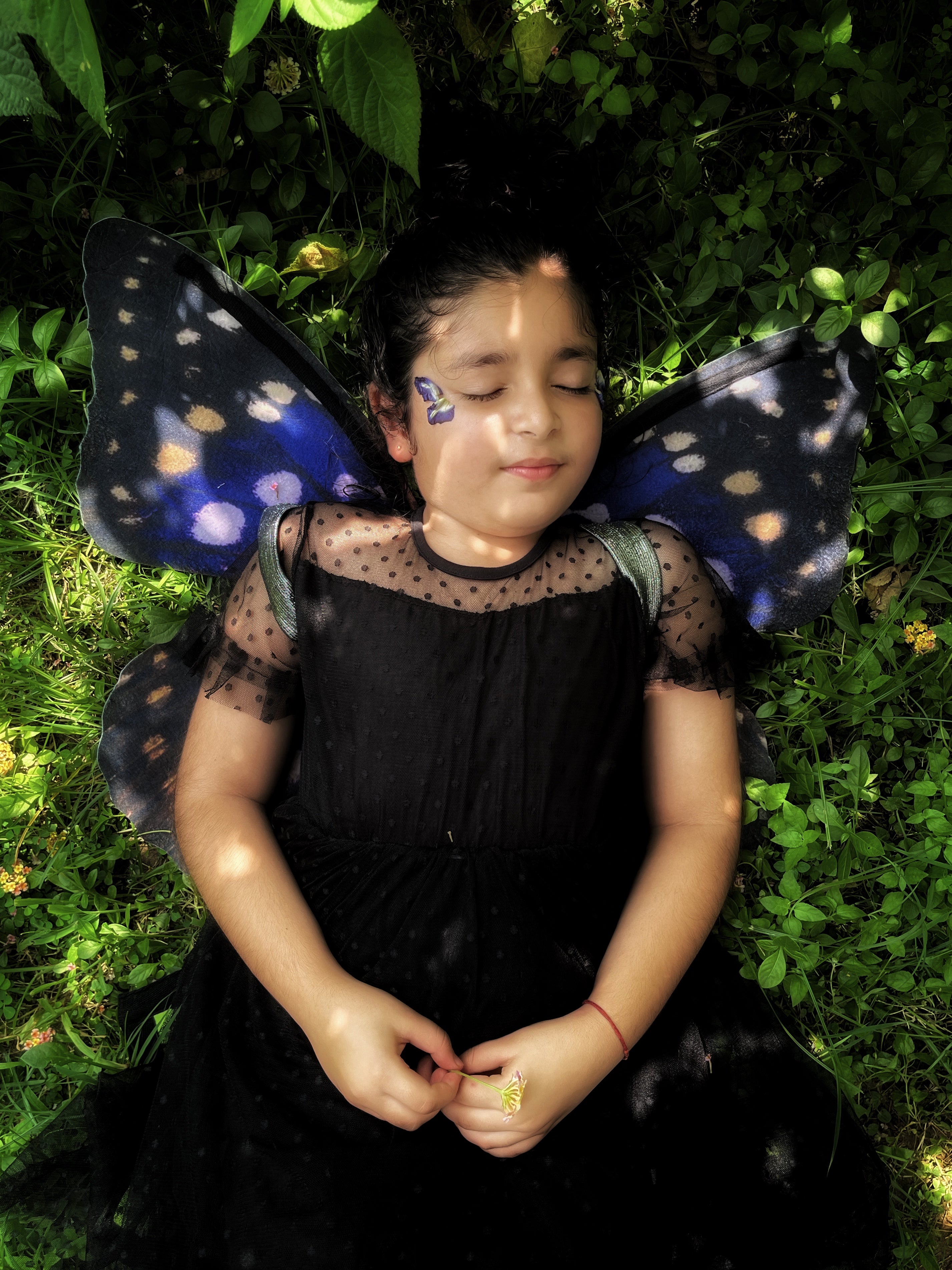 Purple Emperor Butterfly Wings
