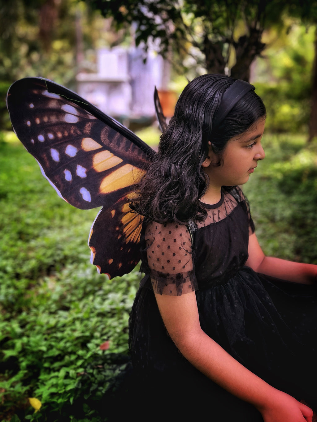 Monarch Butterfly Wings