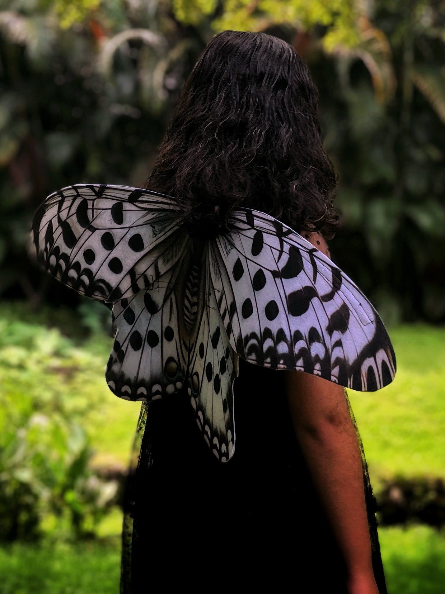 Paper Kite Butterfly Wings