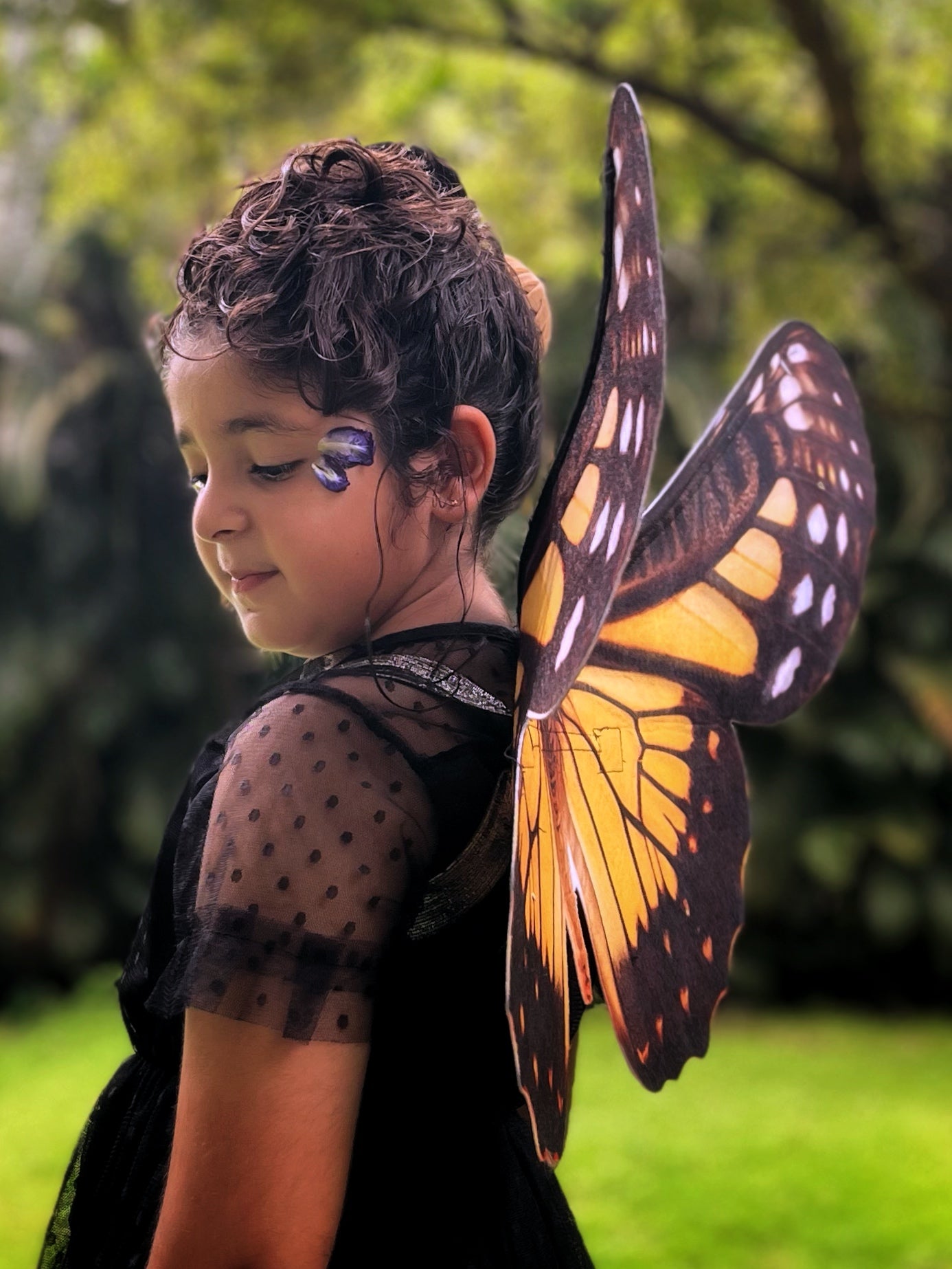 Monarch Butterfly Wings