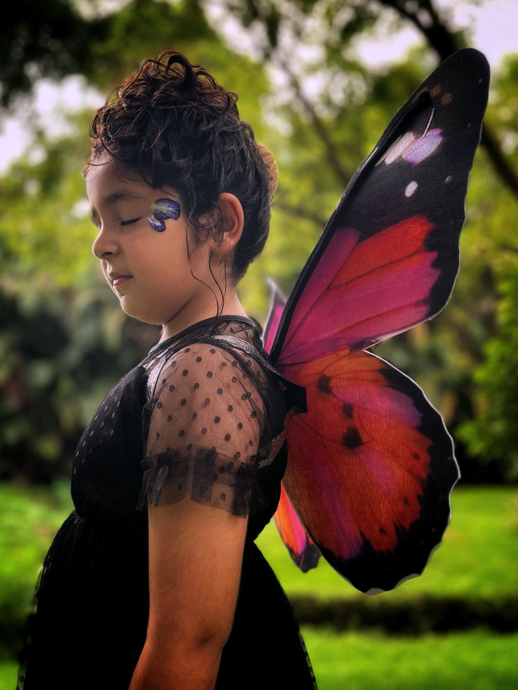 Scarlet Butterfly Wings