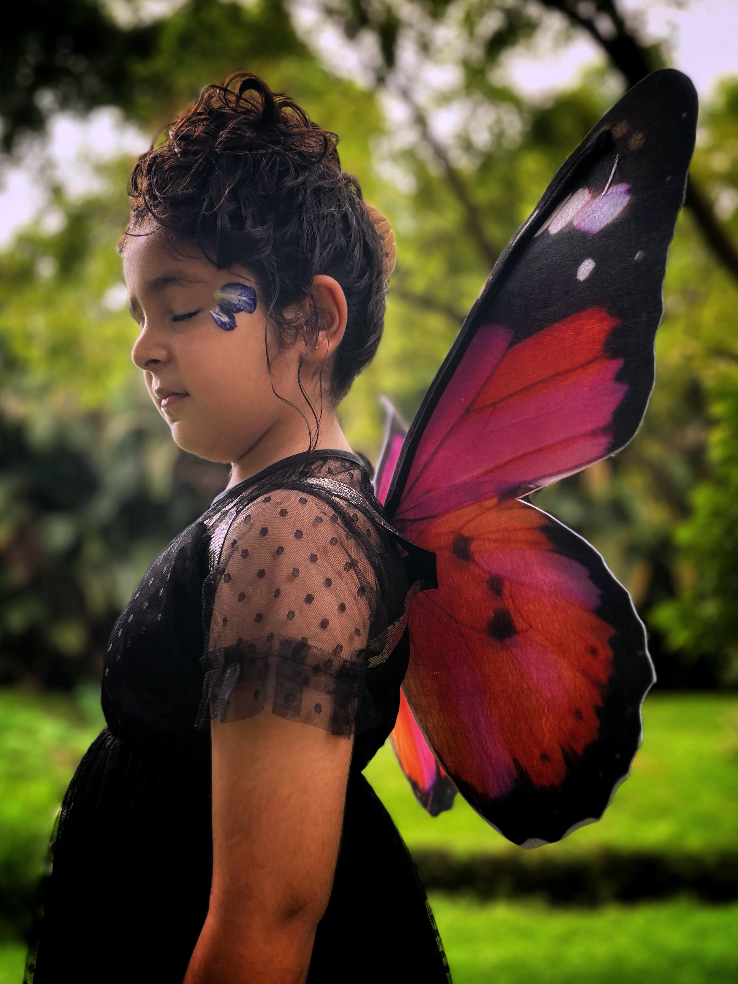 Scarlet Butterfly Wings