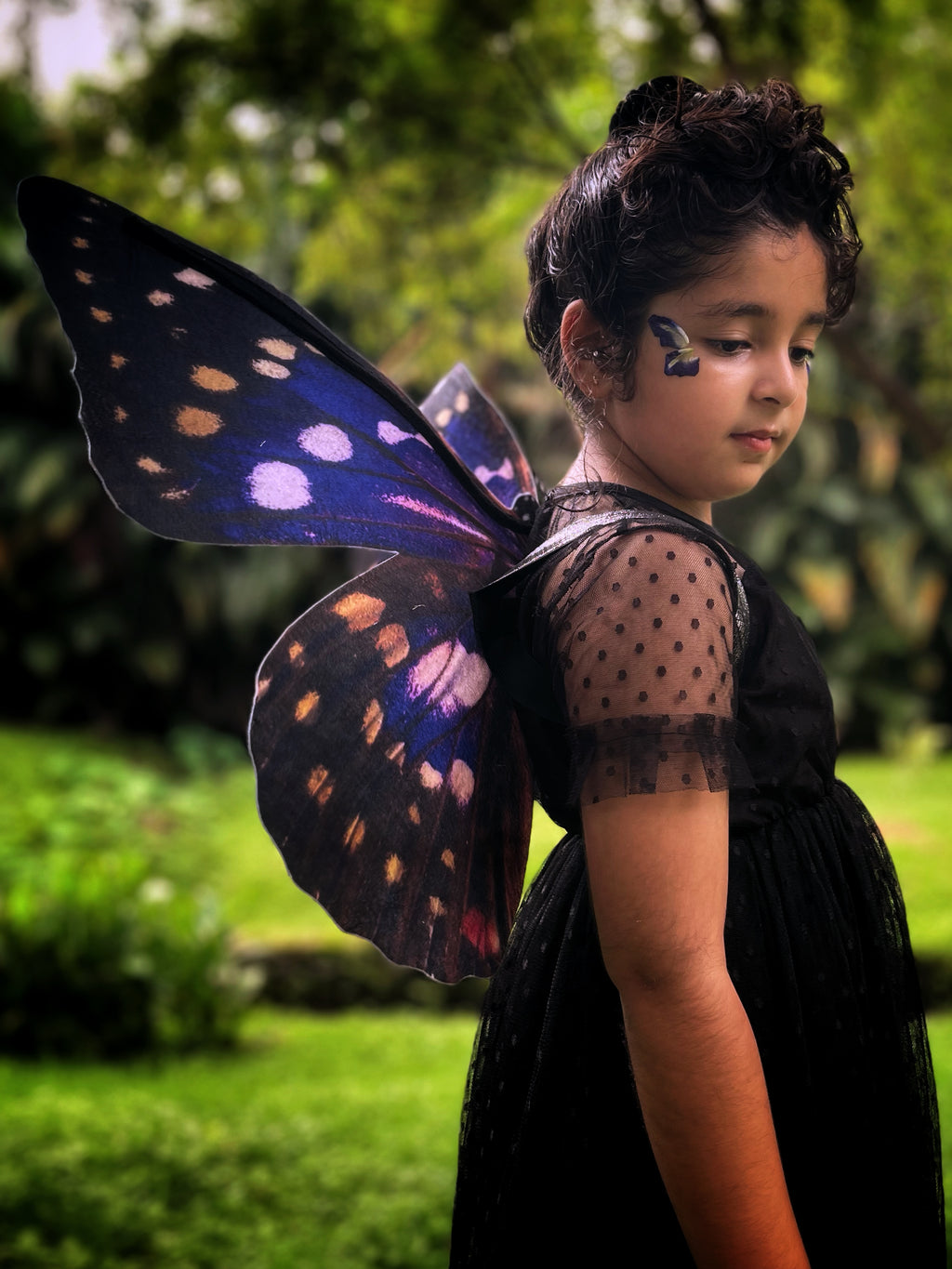 Purple Emperor Butterfly Wings