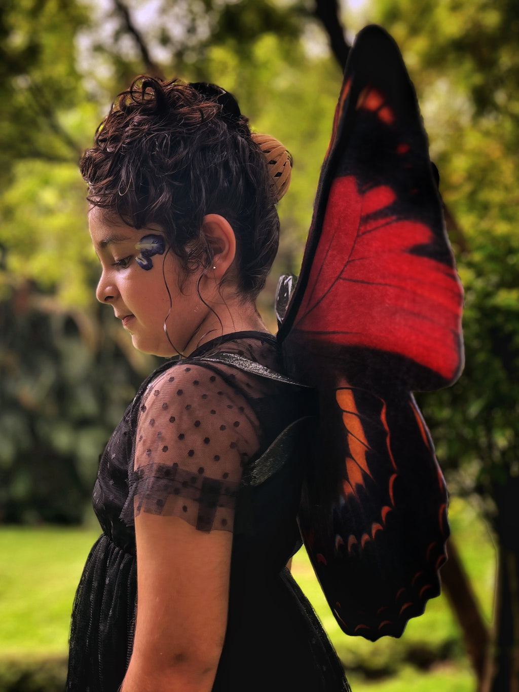 Postman Butterfly Wings