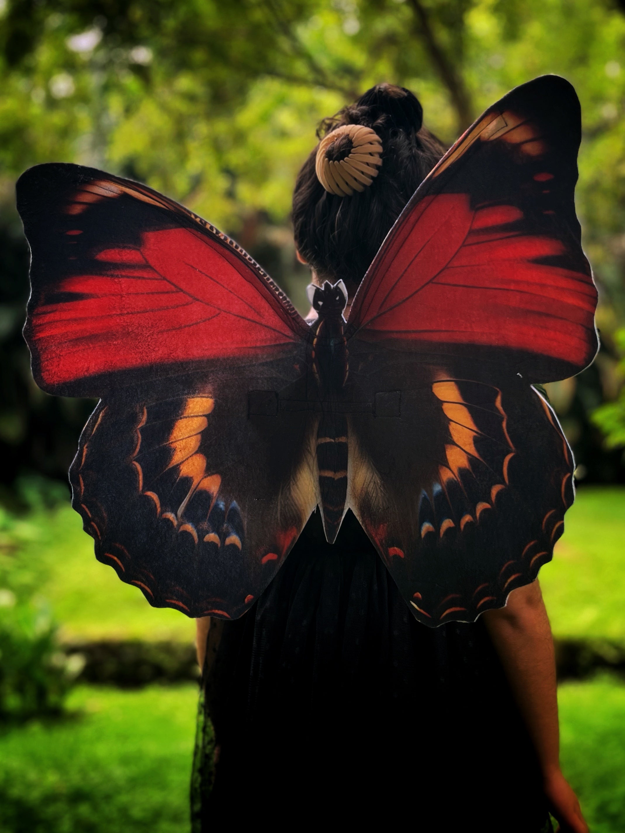 Postman Butterfly Wings