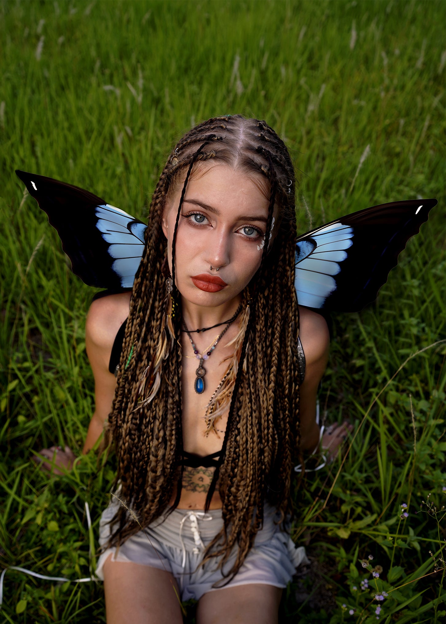 Blue Emperor Butterfly Wings