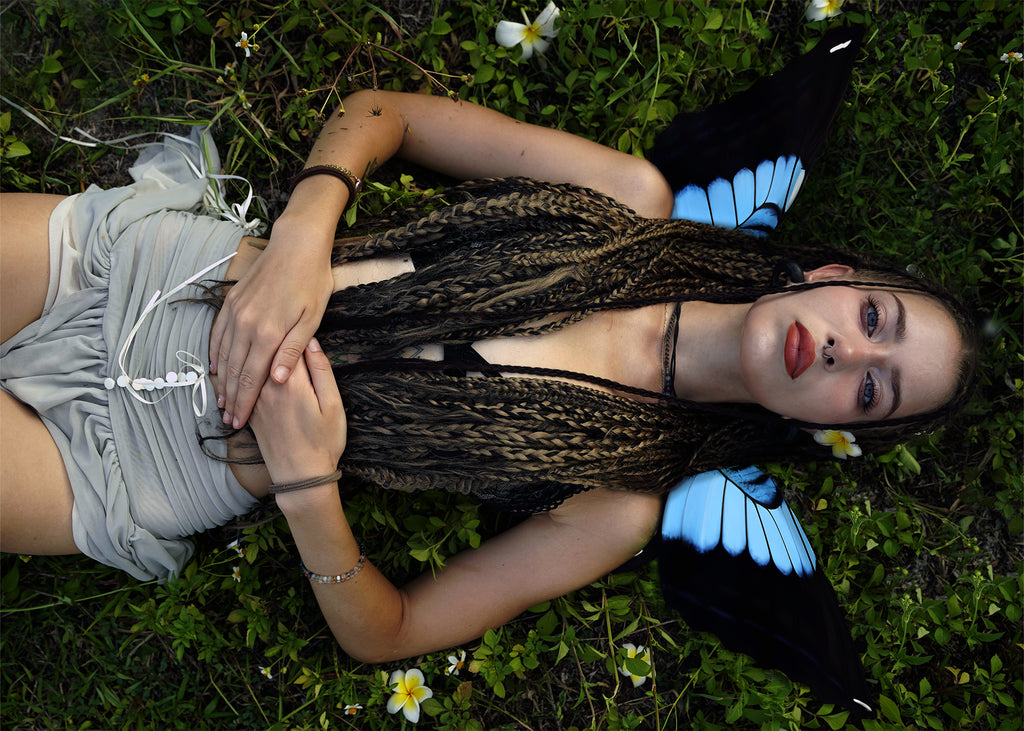 Blue Emperor Butterfly Wings