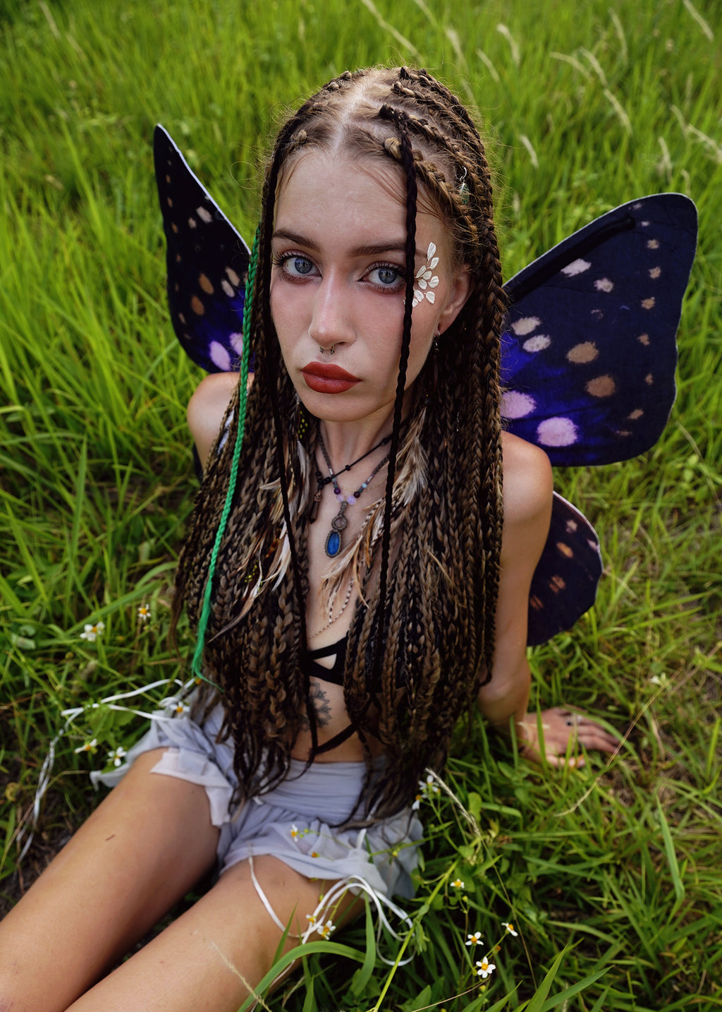 Purple Emperor Butterfly Wings