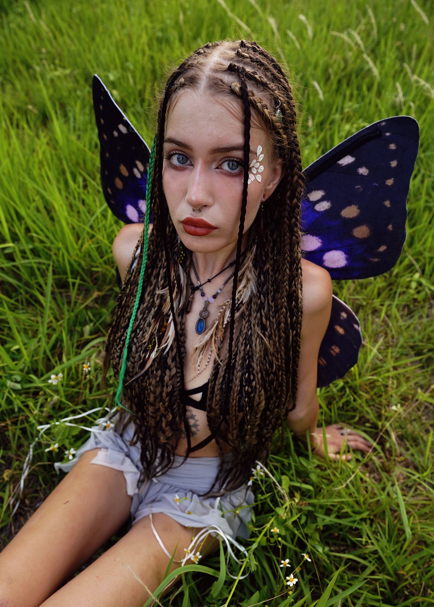 Purple Emperor Butterfly Wings
