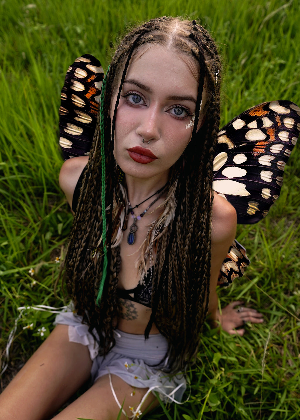 Lime Butterfly Wings
