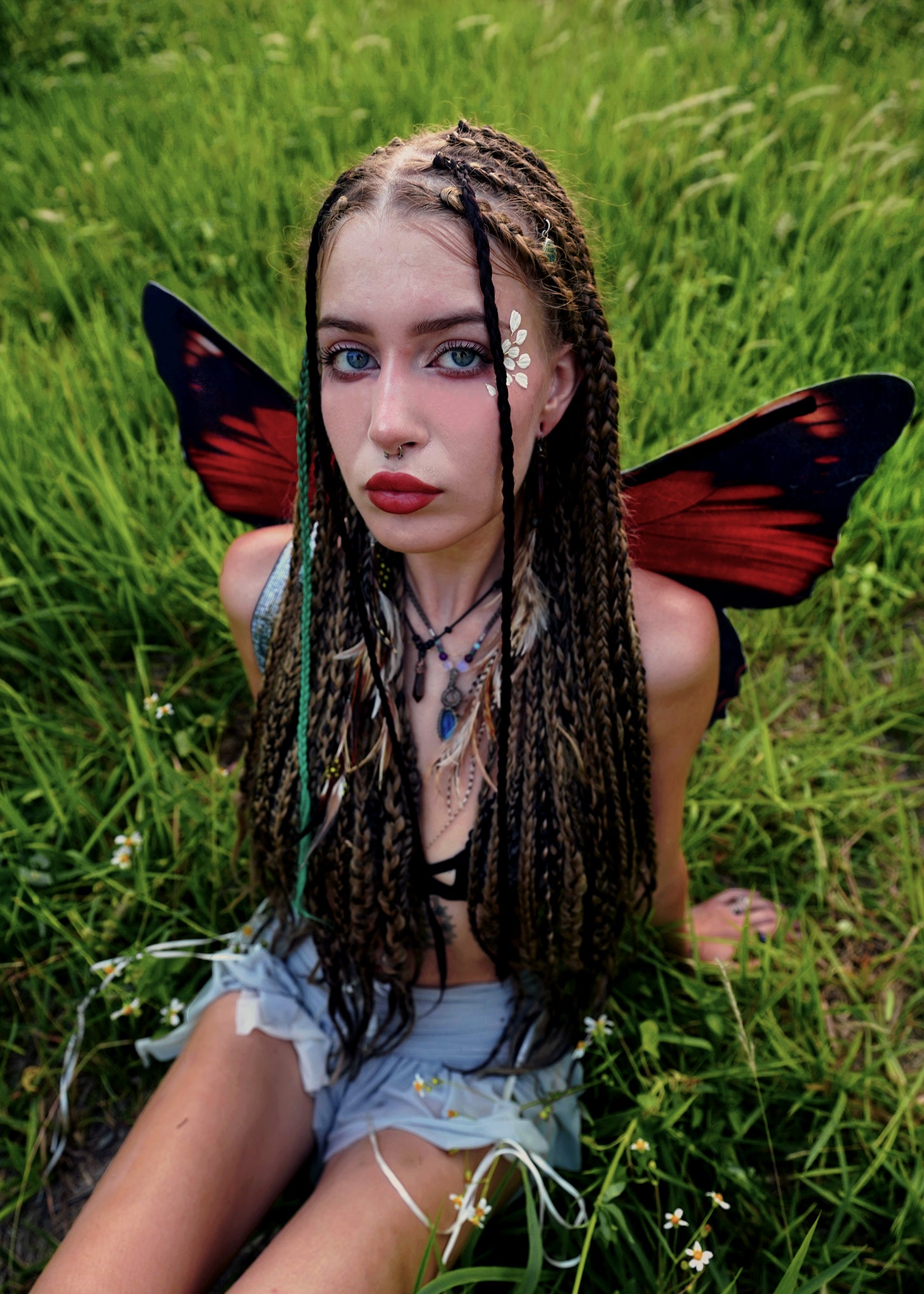 Postman Butterfly Wings