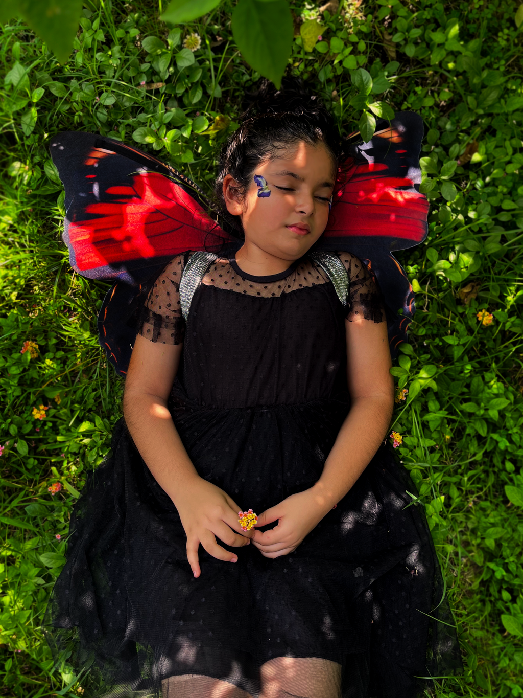 Postman Butterfly Wings
