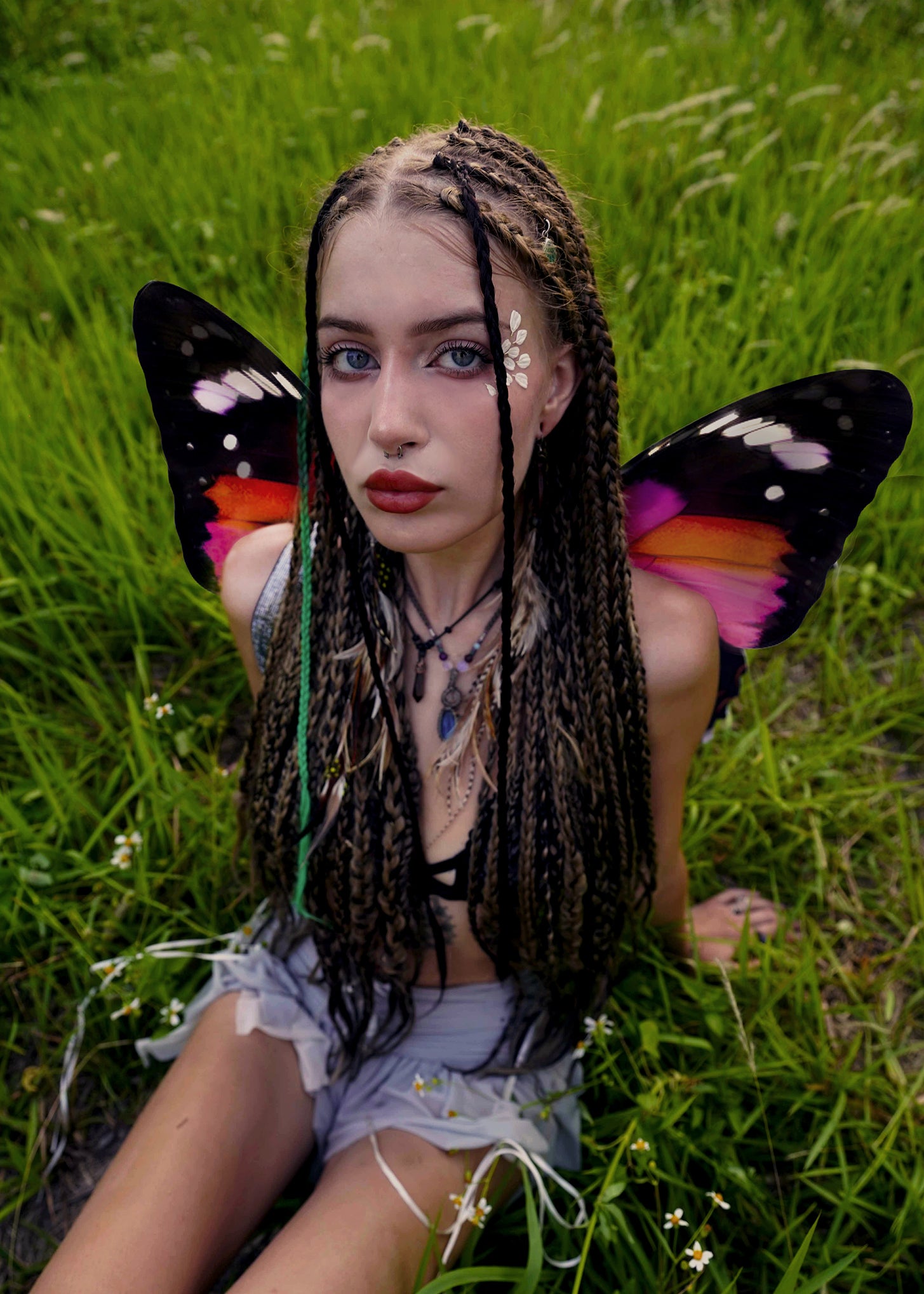 Scarlet Butterfly Wings