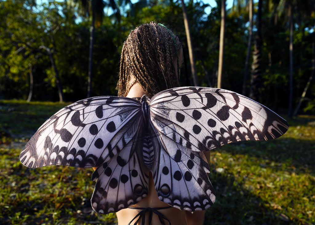 Paper Kite Butterfly Wings
