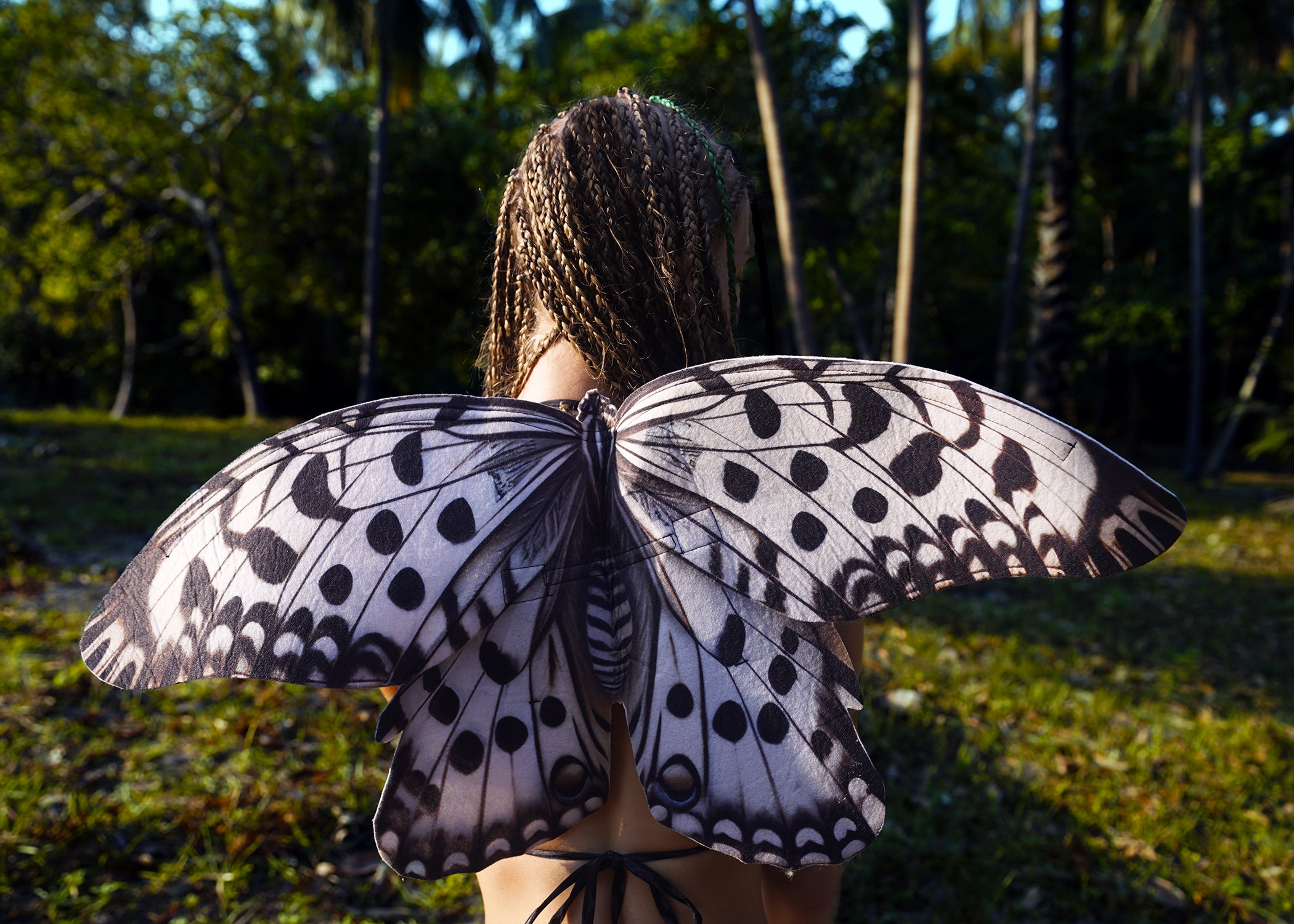 Paper Kite Butterfly Wings