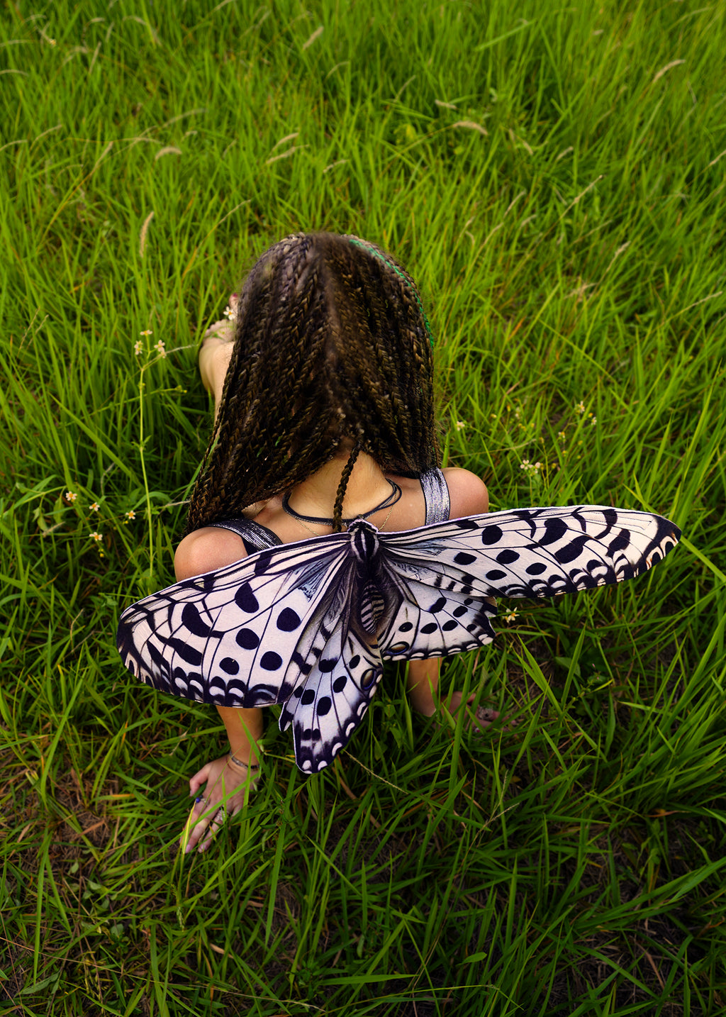 Paper Kite Butterfly Wings