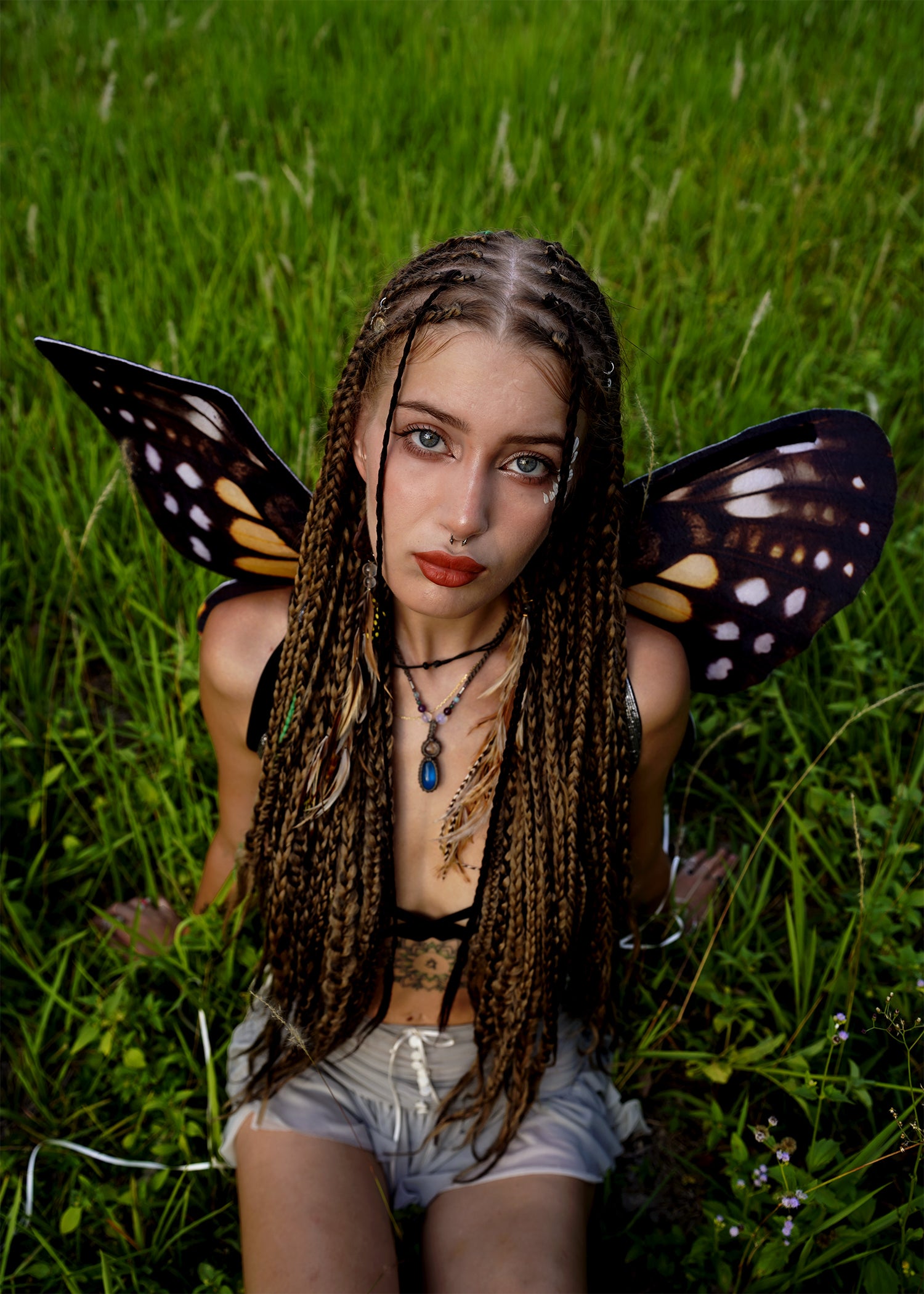 Monarch Butterfly Wings